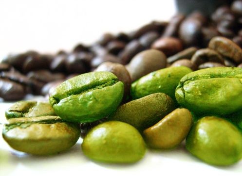 Cofelen café verde: emagrecedor natural, conheça agora!
