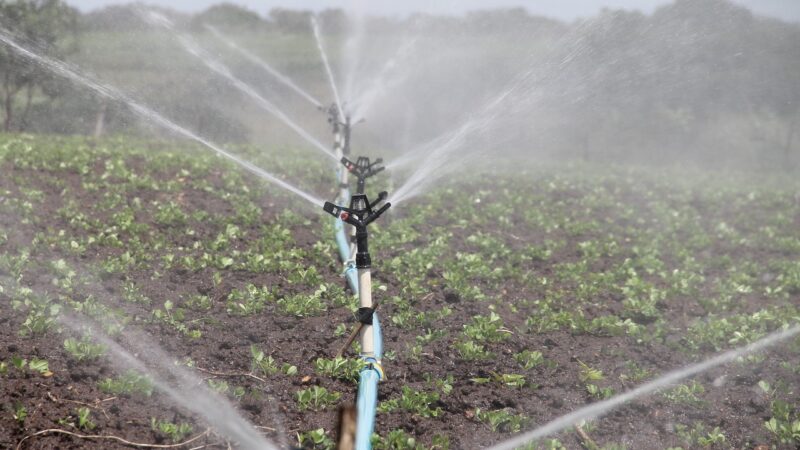 Entupimentos em sistemas de irrigação: causas e soluções